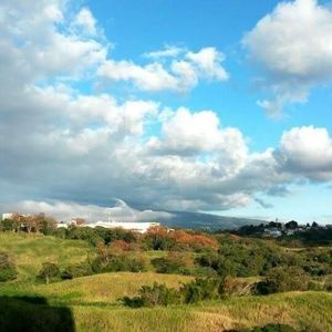 Meet your Posher, Chester